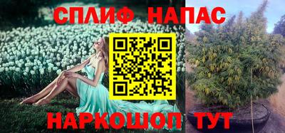 дурь Пыть-Ях