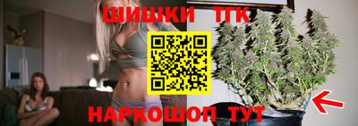 дмт Пушкино