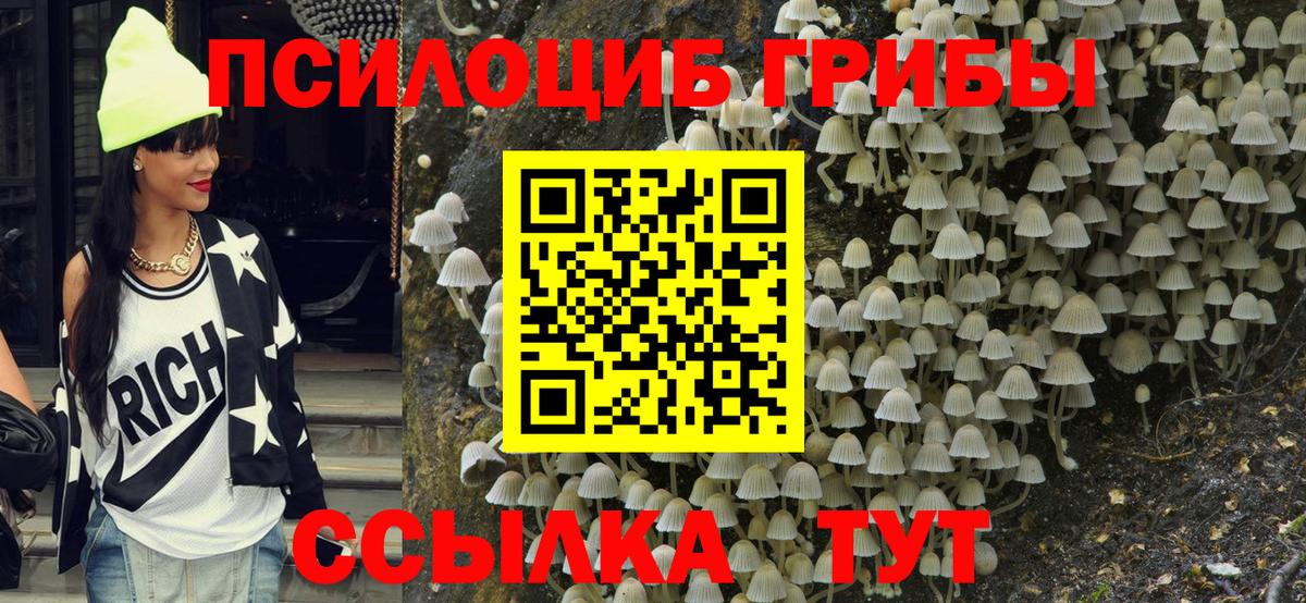 Галлюциногенные грибы Psilocybe  Вход с VPN  Тобольск 