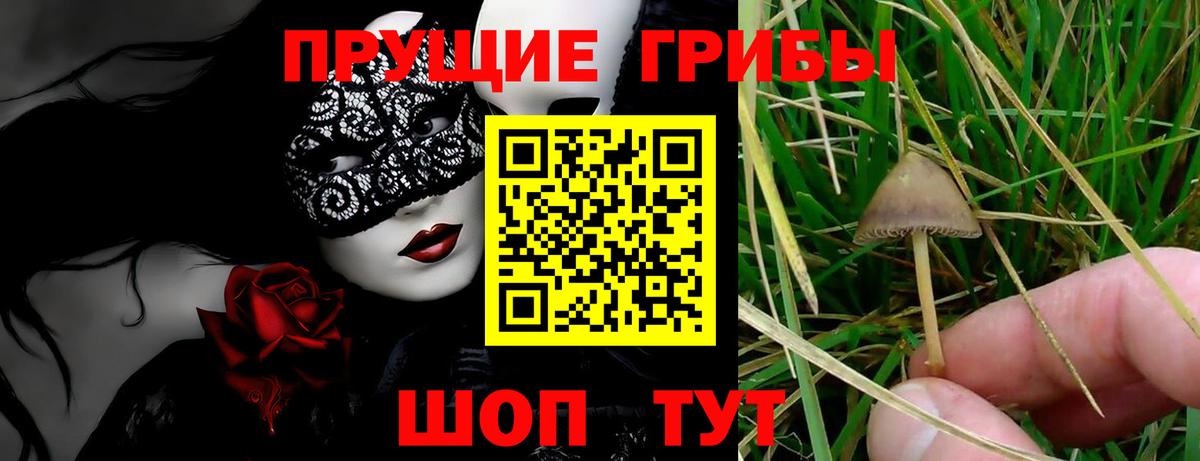 Псилоцибиновые грибы ЛСД Тобольск